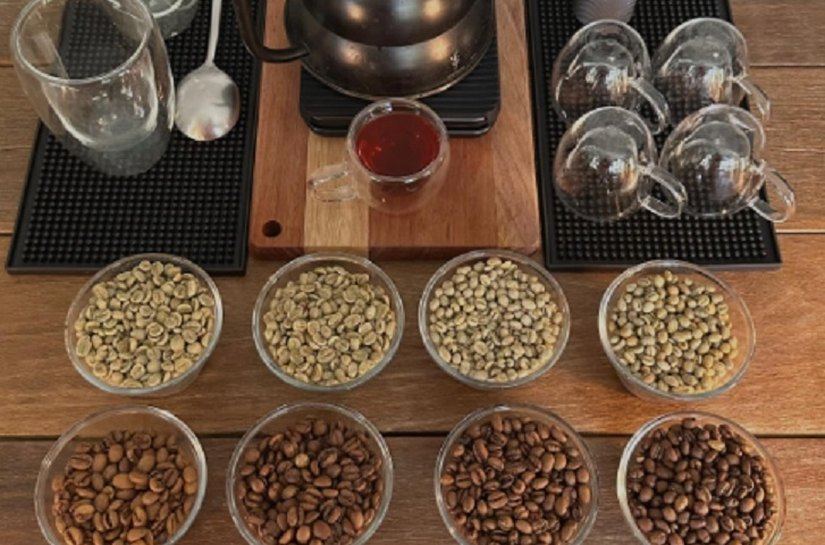 Produtores de café recebem apoio do Governo de MT para análise profissional e melhoria da qualidade dos grãos