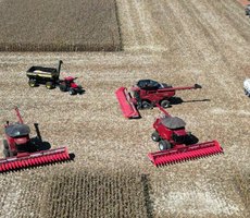 Mato Grosso dá início à colheita da segunda safra nacional de milho
