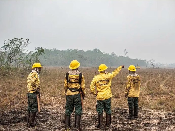 Dino estabelece orçamento de emergência para combate a incêndios