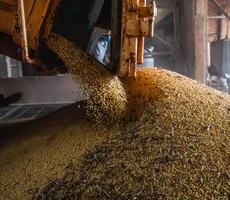 Economia brasileira cresce 1,1% no 1º trimestre