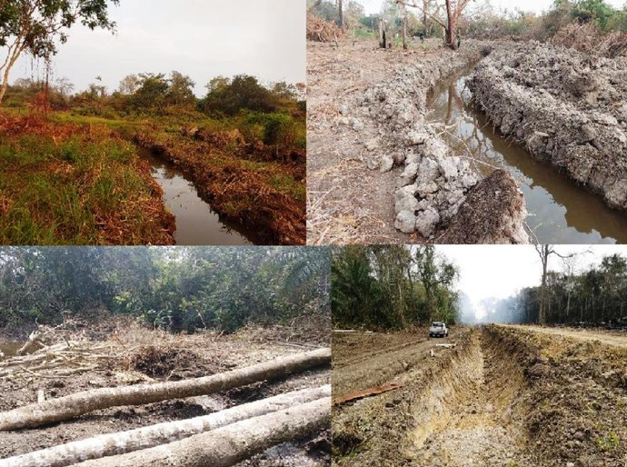 PM encontra crime ambiental em área rural de Cáceres; R$ 150 mil em multas