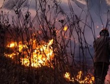 Governo prepara pacote ambiental contra queimadas para apresentar à ONU