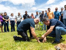 Parceria entre Prefeitura e Governo garante plantio de 10 mil árvores em Cuiabá