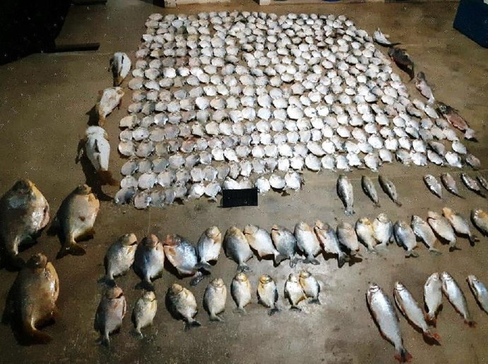 Batalhão Ambiental apreende 423 peças de pescado irregular na Transpantaneira