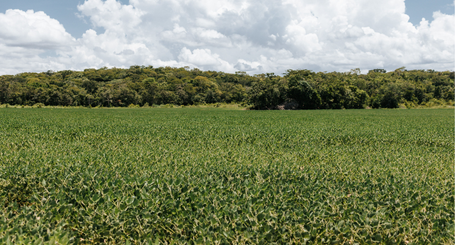 STF homologa Plano Estadual de Regularização Ambiental de MT e destaca evolução do planejamento