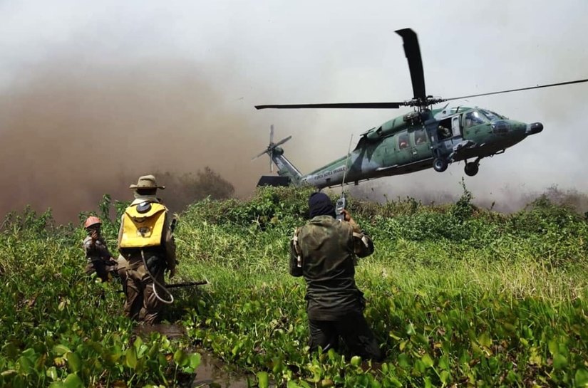 Em 15 dias, Pantanal supera queimadas registradas em agosto de 2019