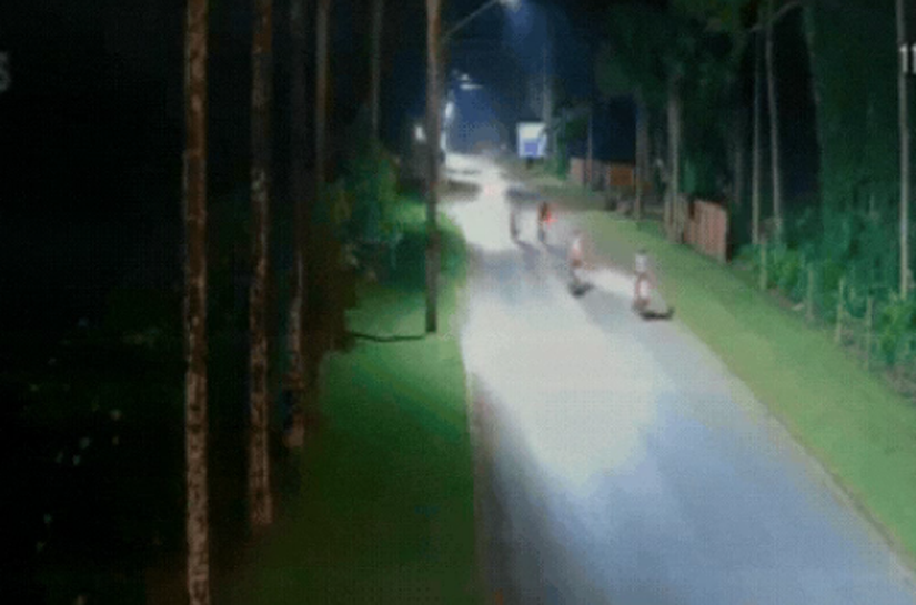 Ultrapassagem termina em tragédia: colisão violenta mata dois e deixa feridos em MT