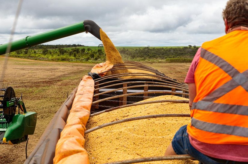 Mato Grosso fecha 2025 como o 4º maior exportador brasileiro