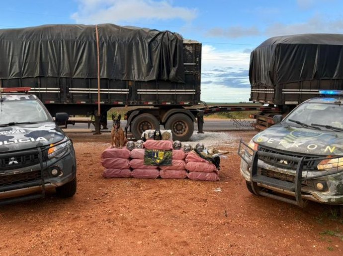 Gefron apreende mais de 400 quilos de skank e causa prejuízo de R$ 1,8 milhão ao crime