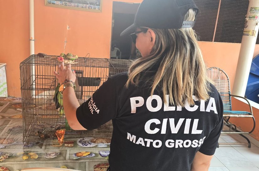 Polícia Civil deflagra nova fase da Operação Sansão para apurar denúncias de maus-tratos a animais