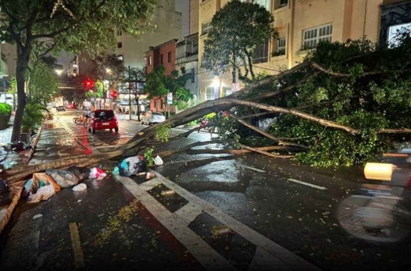 Enel: cerca de 44 horas após chuva, 760 mil seguem sem energia em São Paulo