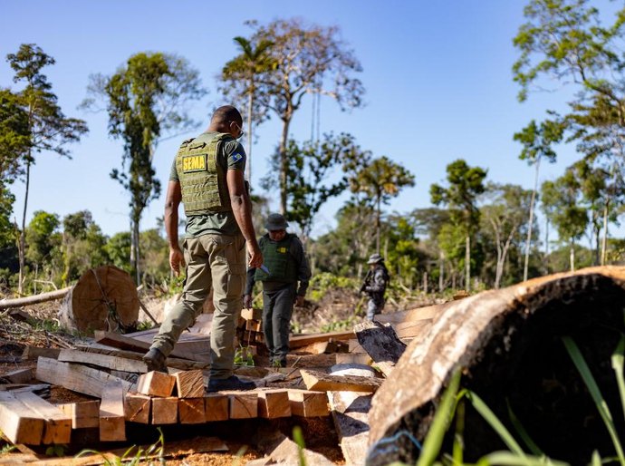 Período proibitivo para exploração do manejo florestal sustentável em MT segue até 1º de abril