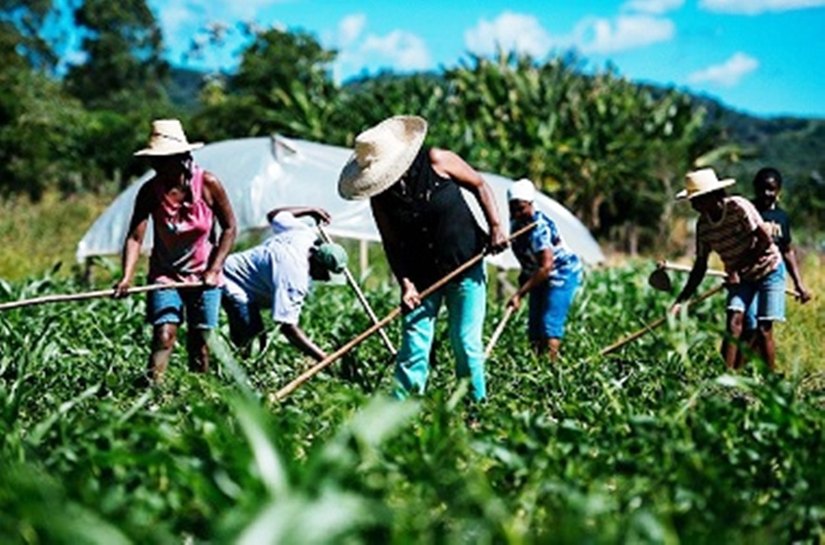 Energisa terá que definir consumo médio em MT para evitar distorções