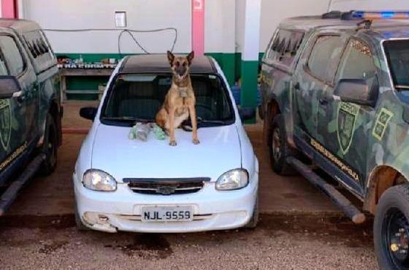 Gefron prende três pessoas e apreende drogas, armas e veículos na fronteira