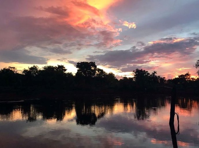 Dia Mundial da Água: Cerrado pode perder quase 34% da água até 2050