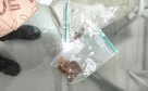 Polícia Civil cumpre mandados contra grupo criminoso que utilizava mulheres para o transporte interestadual de drogas