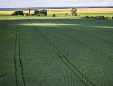 Senado aprova plano para fabricação de fertilizantes no Brasil