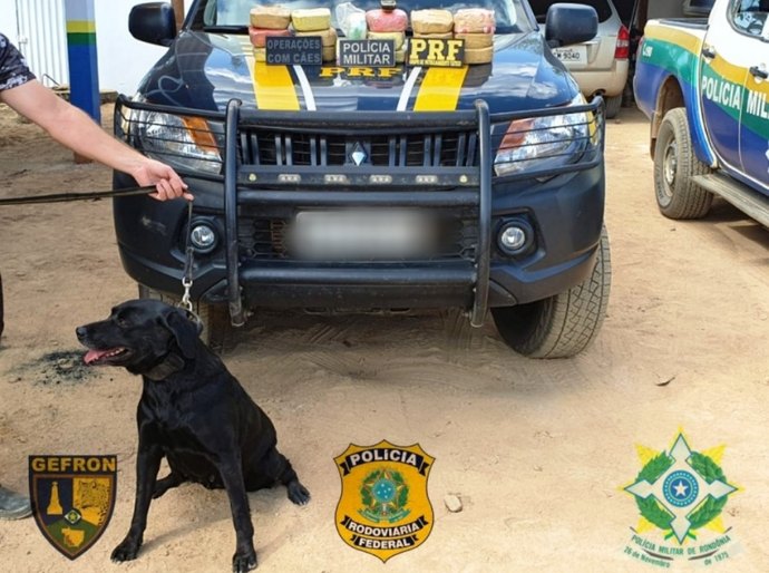 Veja Fotos: Gefron de MT, PRF e PM/RO apreendem carregamento de cocaína avaliado em quase R$ 1 milhão em Machadinho do Oeste/RO
