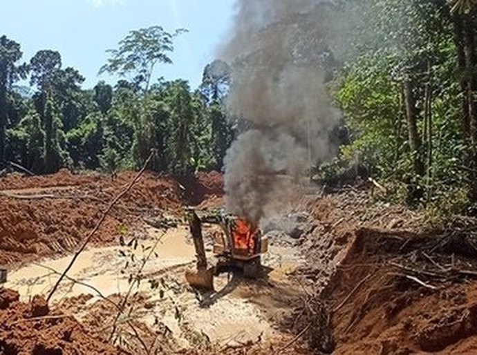 MPF denuncia cinco pessoas por garimpo ilegal e extração de madeira na Terra Indígena Sete de Setembro,MT