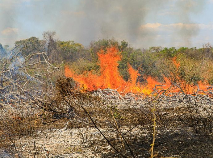 Polícia Militar prende homem por provocar incêndio em zona rural de Vila Rica, MT