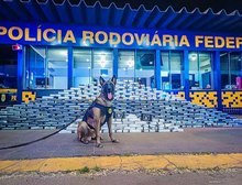 PRF apreende aproximadamente 400 kg de cocaína em Rondonópolis, MT