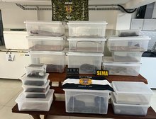 Polícia Civil deflagra operação contra manutenção irregular de animais silvestres e exóticos