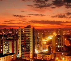 Cuiabá lidera exportações de MT para os EUA em 2024; veja quanto sua cidade vendeu para os americanos