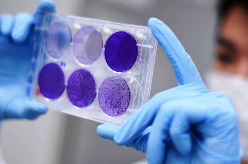 MT registra 14.654 casos e 556 mortes pela Covid-19; Só há 14 UTIs disponivéis