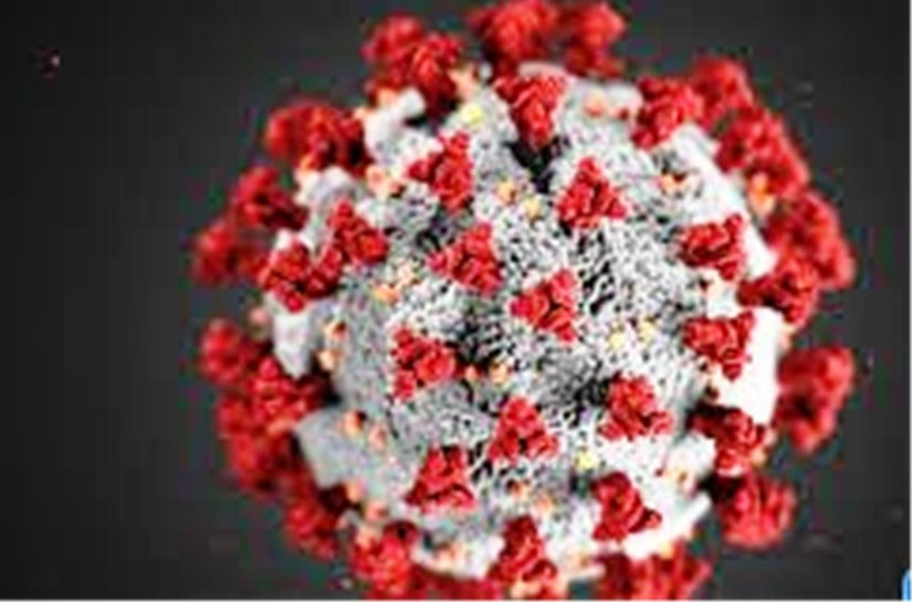 Mato Grosso tem 140.244 mil casos da Covid 19 e 3.782 mil mortes neste sábado, 24