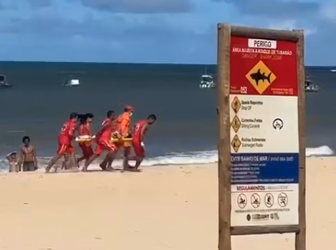 Criança é mordida por tubarão na Praia de Piedade, em Jaboatão dos Guararapes