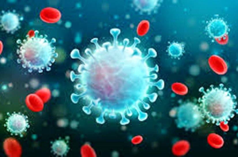 Mato Grosso tem 90.651 mil casos da Covid 19 e 2.756 mil mortes neste sábado, 29