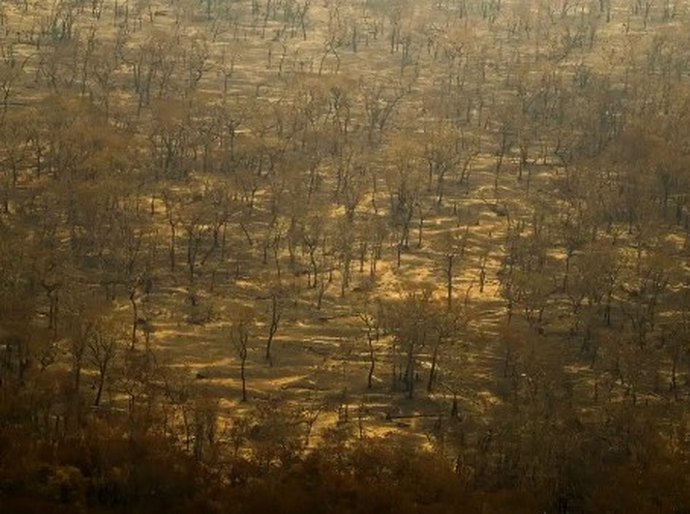 Incêndios e seca na Amazônia e no Pantanal batem marcas históricas