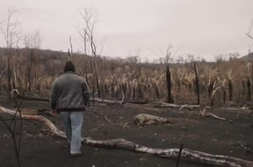 Queimadas e seca: Brasil pode perder o Pantanal até o fim do século se tendências não forem revertidas, diz Marina Silva