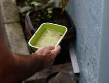 El Niño pode aumentar casos de chikungunya e dengue no Brasil