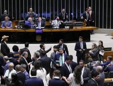 'Só bolsonarismo entendeu importância das eleições para o Congresso', diz cientista política