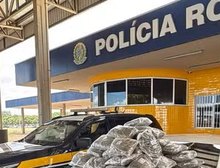 VIAGEM DE R$ 30 MIL TERMINA EM ALGEMAS: CASAL É PRESO COM MAIS DE 50 QUILOS DE “SUPERMACONHA” EM MT