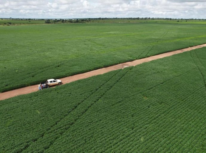 Veja Fotos: Drones auxiliam fiscais do Indea no monitoramento de áreas na fronteira