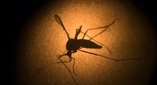 Ministério da Saúde amplia vacinação da dengue para mais 154 cidades