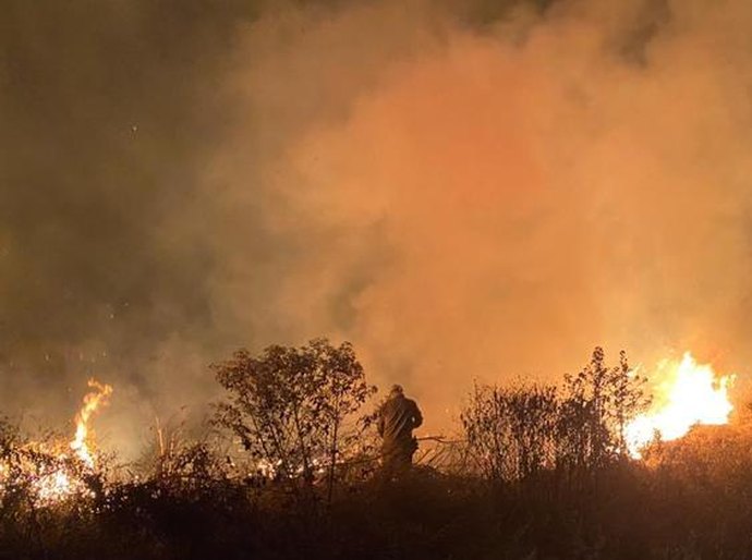 Em 13 dias, pantanal tem mais de 2.000 focos de incêndio em novembro, maioria em MT