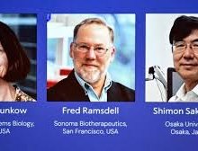 Nobel de Medicina 2025 vai para Mary E. Brunkow, Fred Ramsdell e Shimon Sakaguchi pelas descobertas sobre a tolerância imune periférica