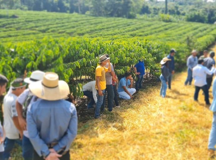 Representantes da agricultura familiar de MT buscam experiências exitosas na produção do café e do leite