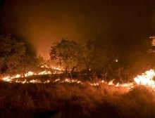 Brasil reduz em 12% emissões de gases do efeito estufa em 2023