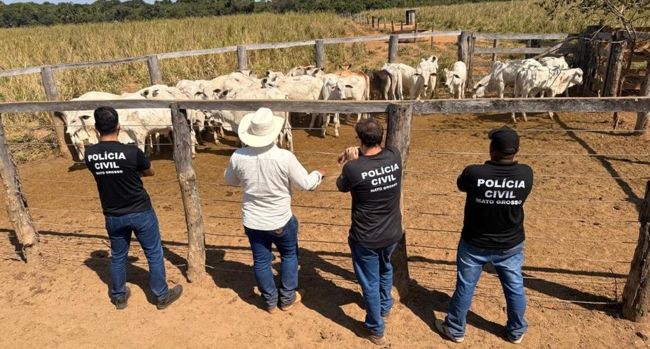 Operação integrada entre as Forças de Segurança Pública resulta na recuperação de rebanho furtado em propriedade rural em Cocalinho,MT