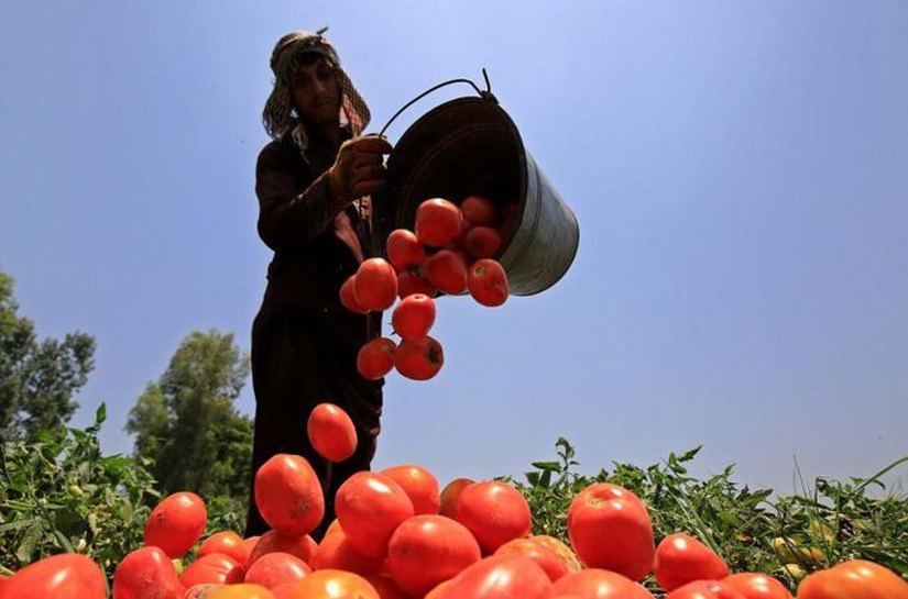 O impacto do El Niño na produção global de alimentos