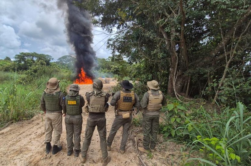Polícia Civil deflagra Operação Logging e causa prejuízo de R$ 3,5 milhões ao crime ambiental em Mato Grosso