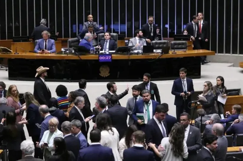 'Só bolsonarismo entendeu importância das eleições para o Congresso', diz cientista política