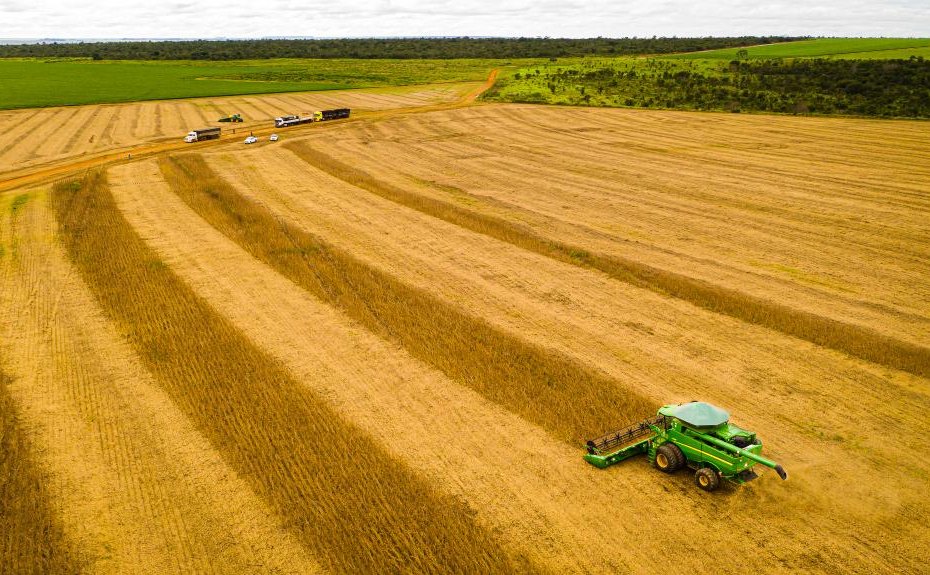 Mato Grosso consolida safra 25/26 com produção recorde e mantém liderança na soja há 26 safras