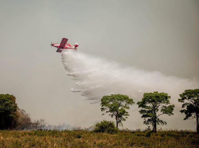 Governo investiu nos bombeiros; incêndio no Pantanal precisa ser esclarecido, afirma comandante-geral