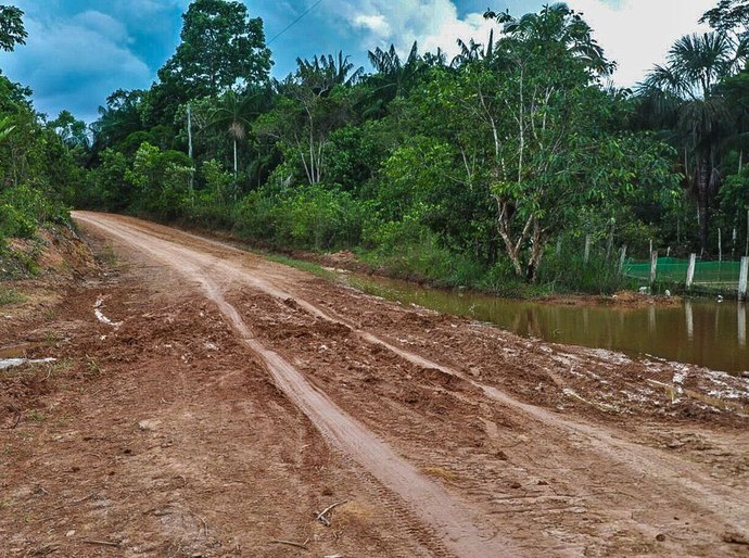 Ambientalistas denunciam desmatamento às margens de rodovia amazônica