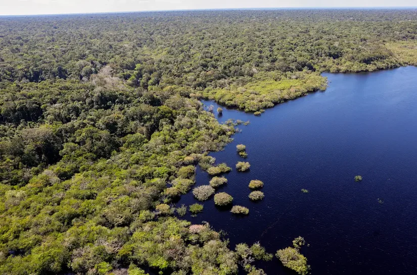 Cinco países aderem a fundo para conservação de florestas tropicais